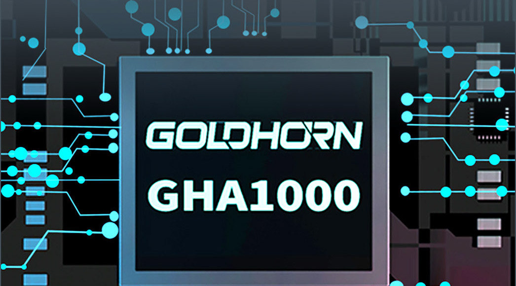 Goldhorn P2 DSP Pro V2.0 進階播放器 DSP｜原創自研晶片 GHA1000