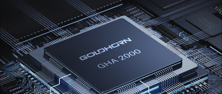 Goldhorn P5 DSP Ultra 旗艦播放器 DSP｜原創自研晶片 GHA2000